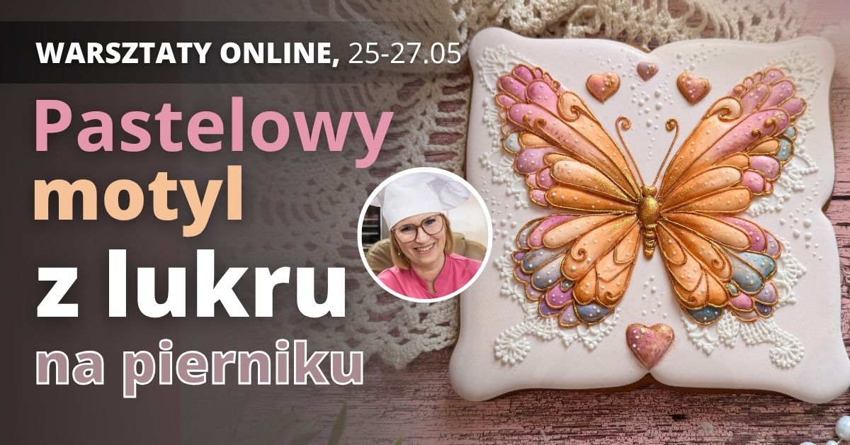 sd - warsztat motyl 2