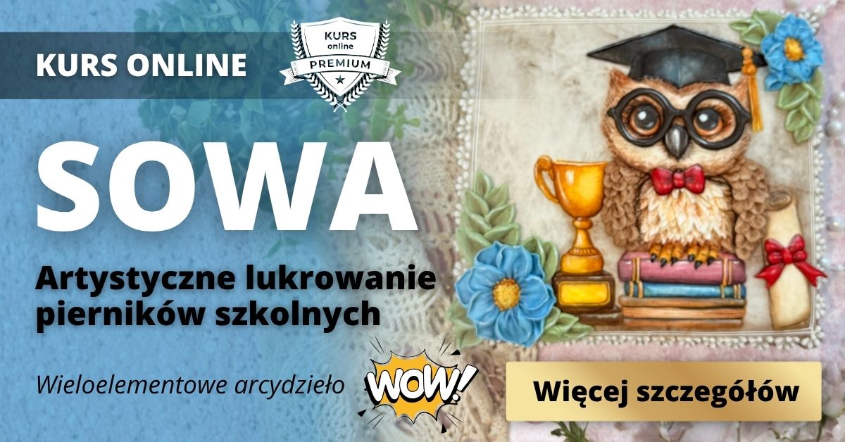 sd - kurs sowa - obr wyr